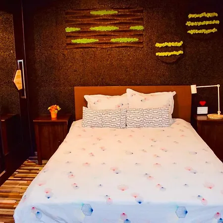De Mijloc Bed & Breakfast *